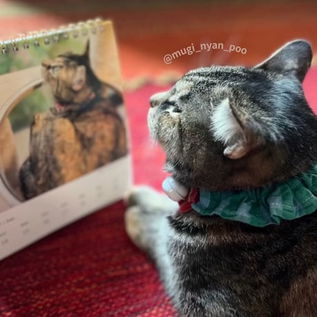 2026 Calendar No.09