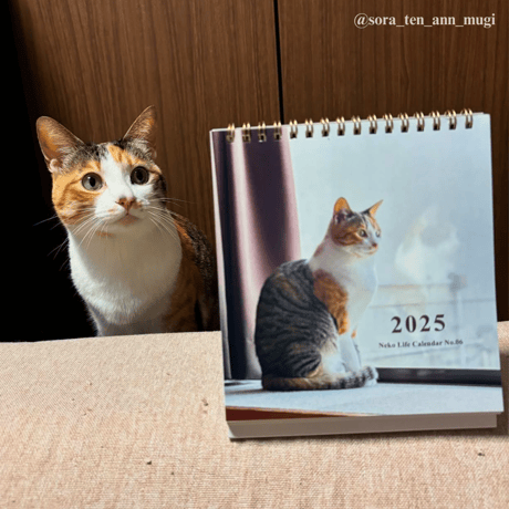 2025 Calendar No.06