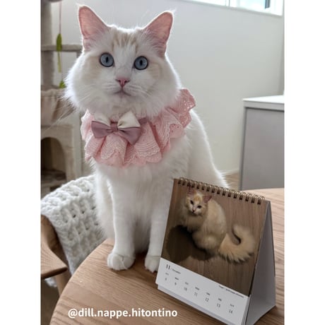 2026 Calendar No.09