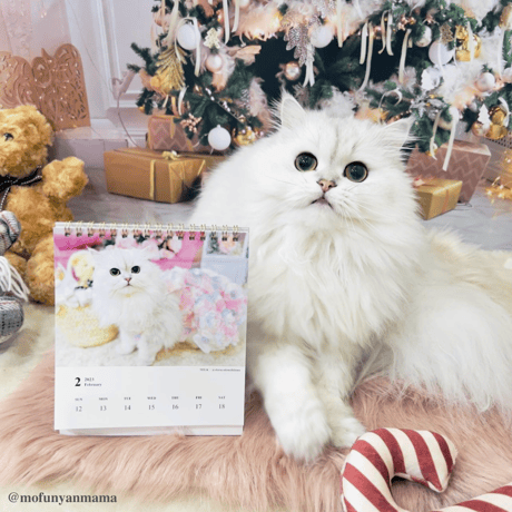 Neko Life 2023 Calendar｜weekly No.3