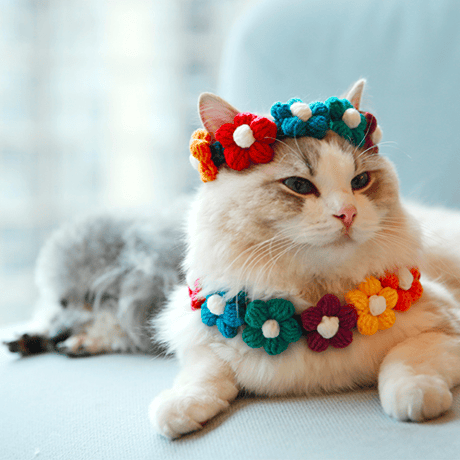 cat collar｜pink×blue flower