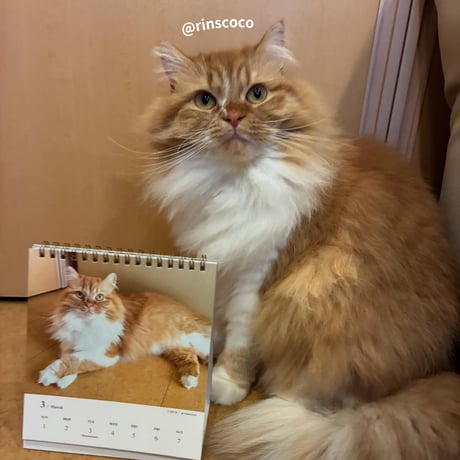 2026 Calendar No.03