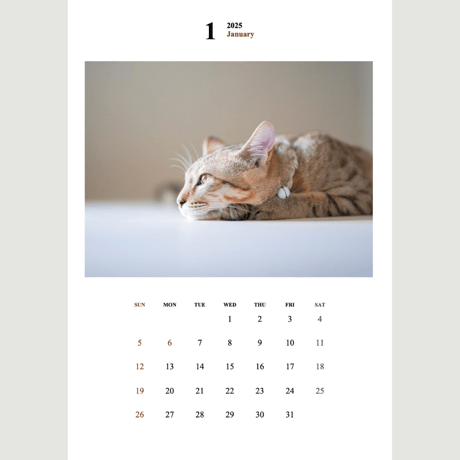 2025 Calendar Monthly