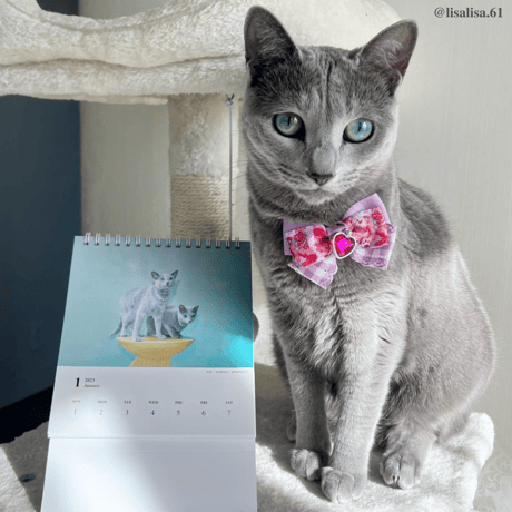 Neko Life 2023 Calendar｜weekly No.4