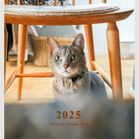 2025 Calendar No.10