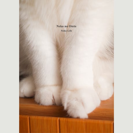 Photo Book 