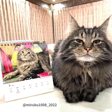 2026 Calendar No.10