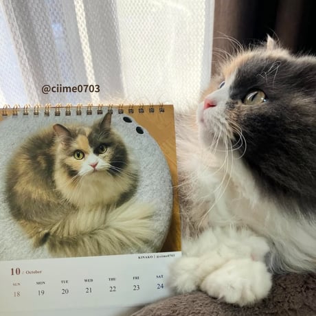 2026 Calendar No.05