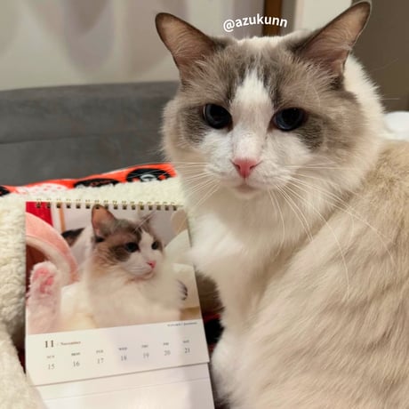 2026 Calendar No.03