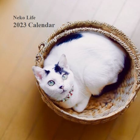 Neko Life 2023 Calendar｜weekly No.4