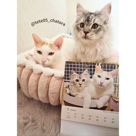 2026 Calendar No.10