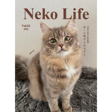 メルカリで24時間以内に売れなければ300円　「みんな待ってる花猫ニャンコ」 メルカリで24時間以内に売れなければ 「みんな待ってる花猫
