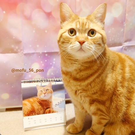 2026 Calendar No.02