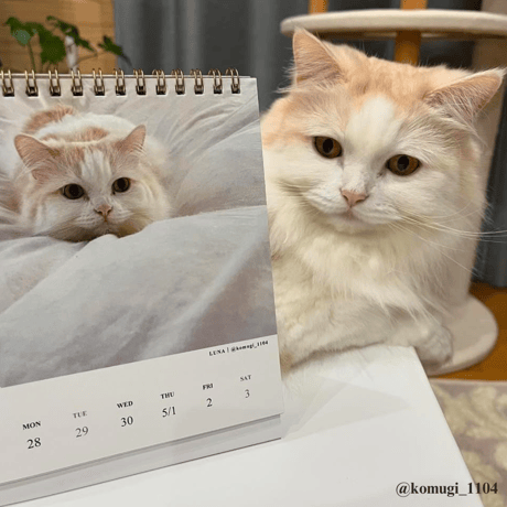 2025 Calendar No.02