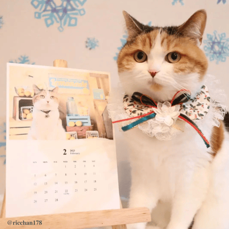 Neko Life 2023 Calendar｜monthly