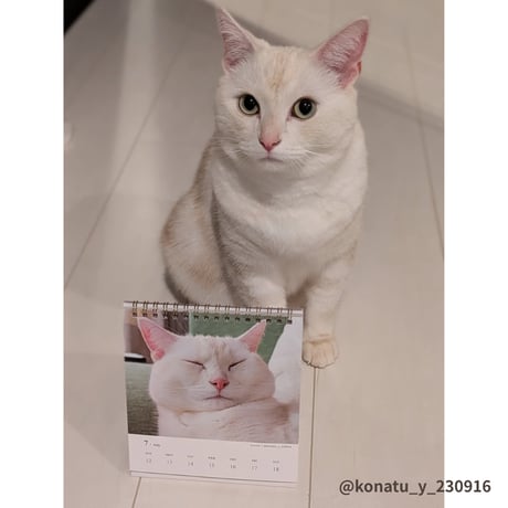 2026 Calendar No.02