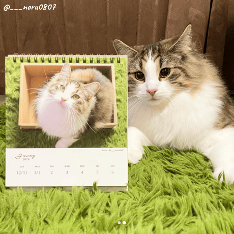 Neko Life 2024 Calendar｜weekly vol.04