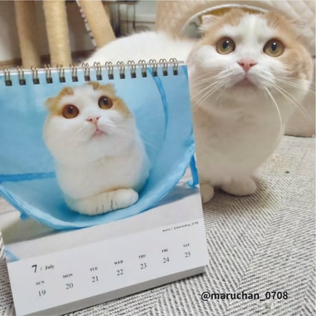 2026 Calendar No.06