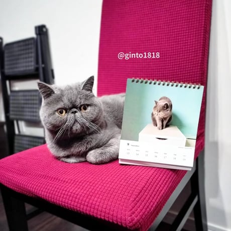 2026 Calendar No.06