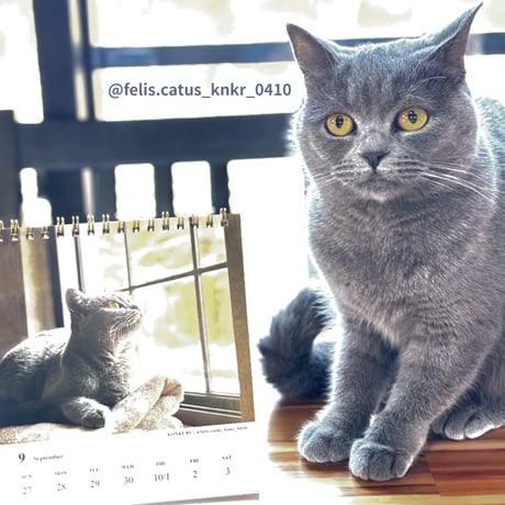 2026 Calendar No.06