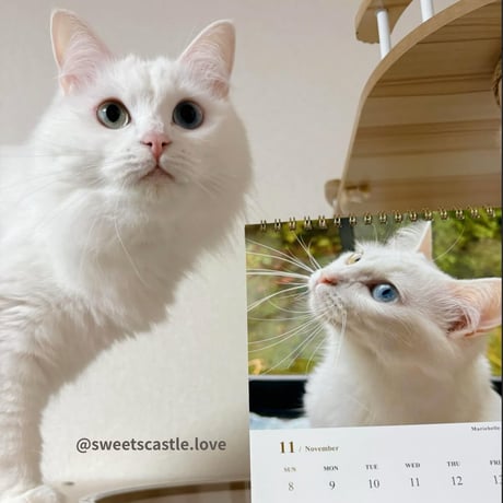 2026 Calendar No.10