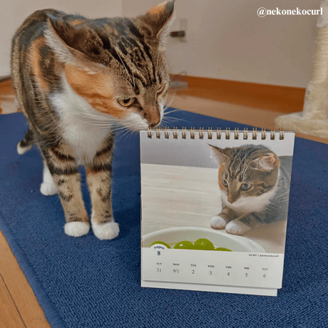 2025 Calendar No.03