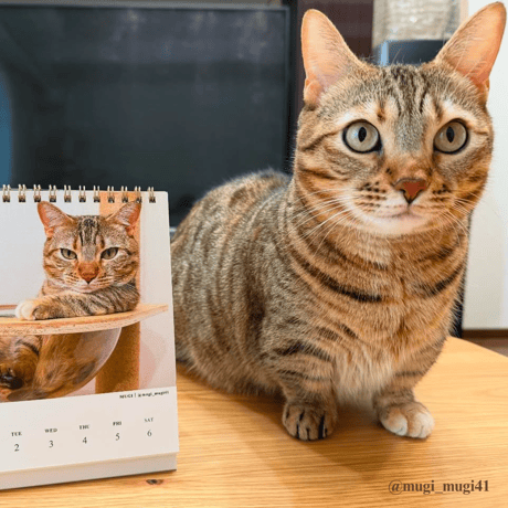 2025 Calendar No.01