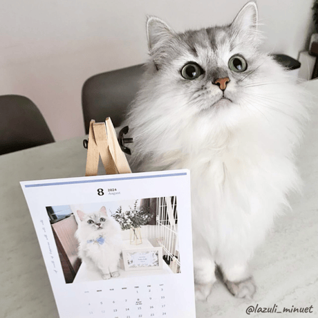 2024 Invitation Calendar｜monthly No.1