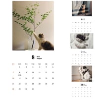 2022 Neko Life Calendar｜月めくり