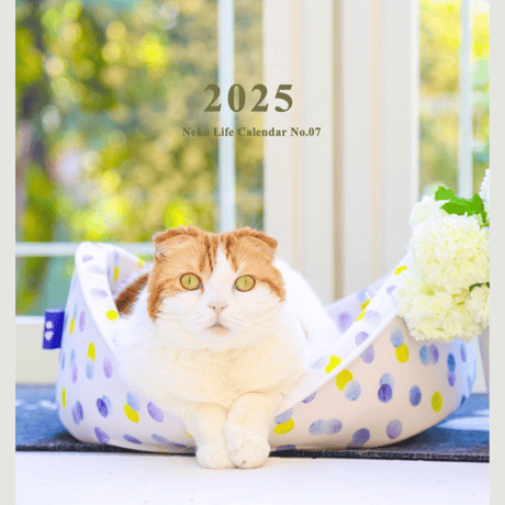 2025 Calendar No.07