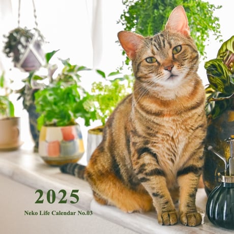 2025 Calendar No.03