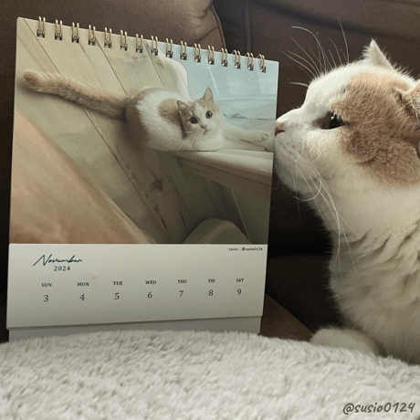 Neko Life 2024 Calendar｜weekly vol.05