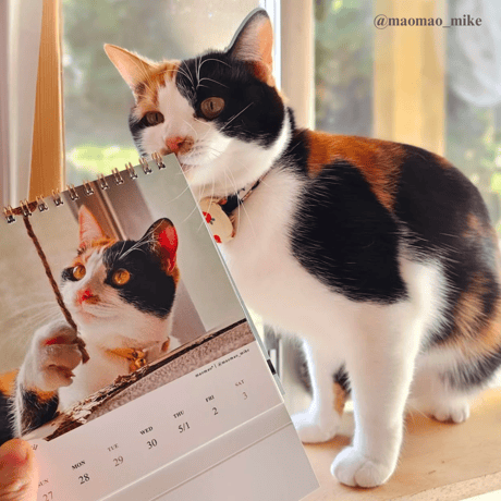 2025 Calendar No.06