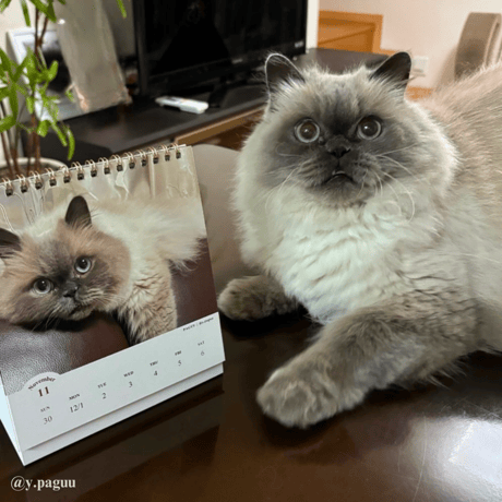 2025 Calendar No.08