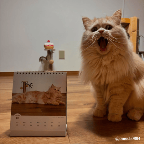 2025 Calendar No.04