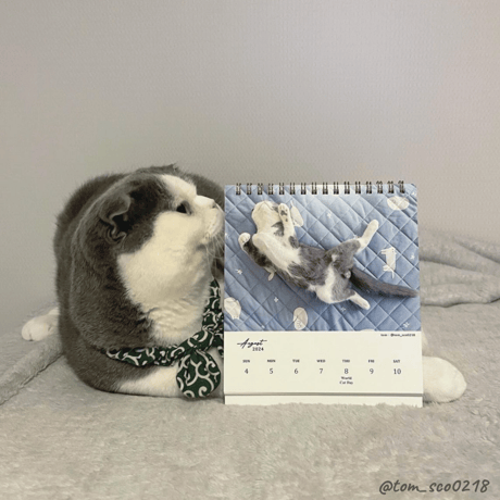 Neko Life 2024 Calendar｜weekly vol.05