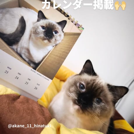 2026 Calendar No.01