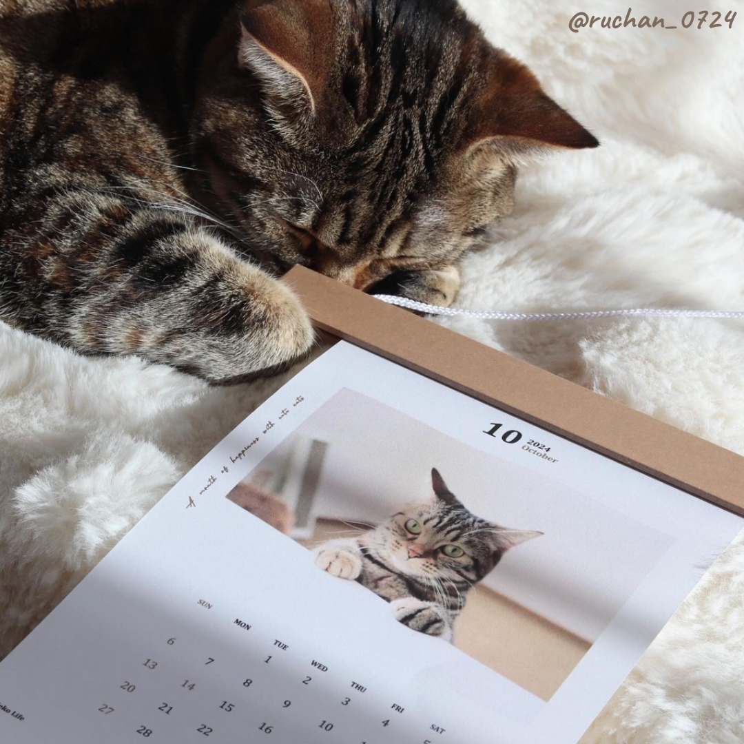 nekokoページ Neko Life 2024 Calendar｜monthly | Neko Life