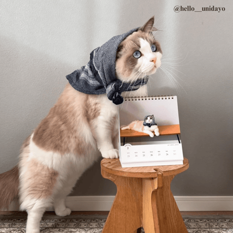 2025 Calendar No.08