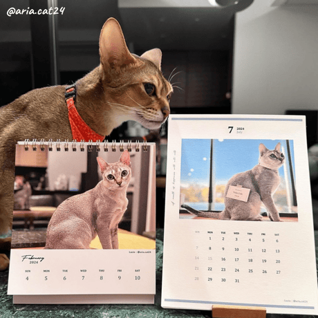 2024 Invitation Calendar｜monthly No.2