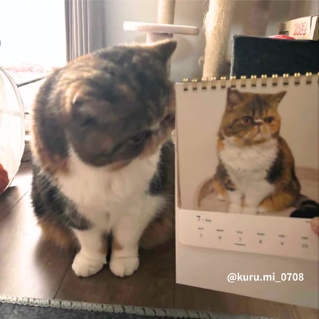 2026 Calendar No.01