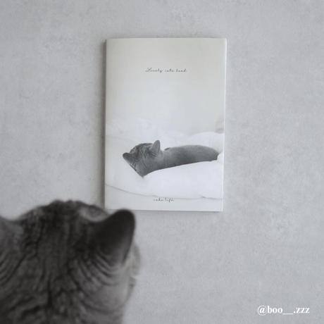 Photo Book " Lovely cats head " No.1