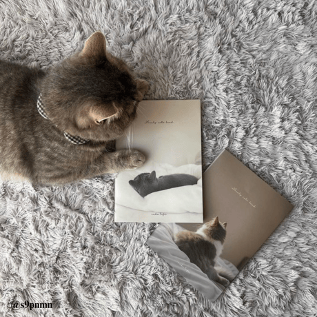 Photo Book " Lovely cats head " No.1