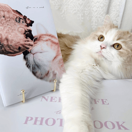 Photo Book " Give me a snack "