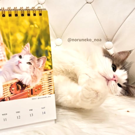 2026 Calendar No.10