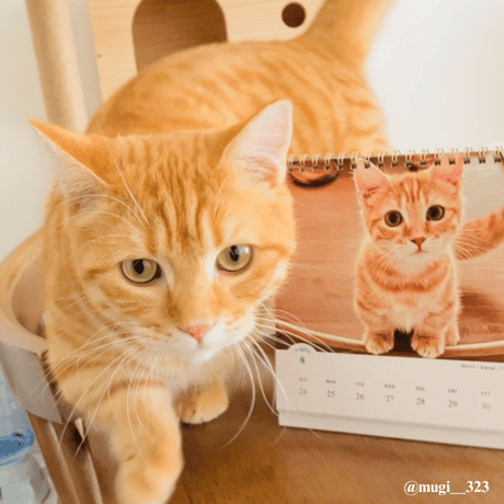 2025 Calendar No.01