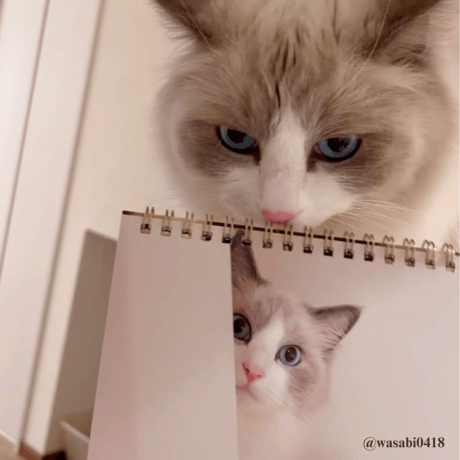 2025 Calendar No.08