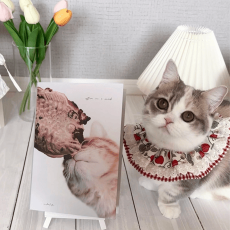 Photo Book " Give me a snack "