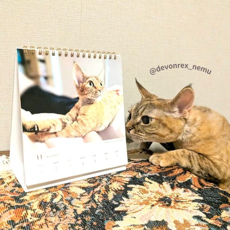 2026 Calendar No.08