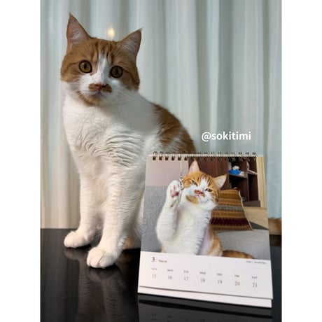 2026 Calendar No.09